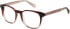 Superdry SDO-3012 glasses in Purple