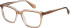 Superdry SDO-3015 glasses in Brown