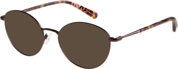 Radley RDO-6029 sunglasses in Matt Brown