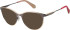 Superdry SDO-3014 sunglasses in Matt Nude