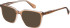 Superdry SDO-3015 sunglasses in Brown