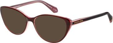 Superdry SDO-3016 sunglasses in Brown