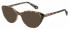 Superdry SDO-3016 sunglasses in Black