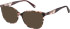 Botaniq BIO-1057 sunglasses in Pink Tortoise