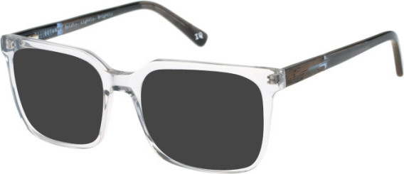 Botaniq BIO-1073 sunglasses in Grey