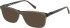 CAT CTO-3019 sunglasses in Gloss Grey Horn