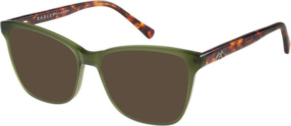 Radley RDO-6026 sunglasses in Green Tortoise
