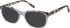 Radley RDO-6027 sunglasses in Grey Blue