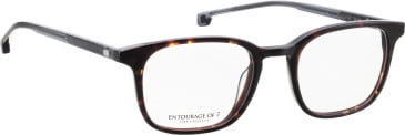 Entourage of 7 Royce glasses in Brown/Brown