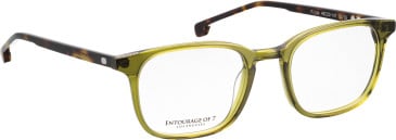 Entourage of 7 Royce glasses in Green/Brown