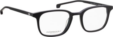 Entourage of 7 Royce glasses in Black/Black