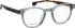 Entourage of 7 Jackson glasses in Clear Grey/Tortoise