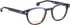 Entourage of 7 Jackson glasses in Blue/Brown