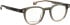 Entourage of 7 Jackson glasses in Green Grey