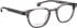 Entourage of 7 Jackson glasses in Grey/Grey