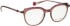 Bellinger Less-Ace-2198 glasses in Brown/Purple