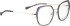Bellinger Arc-X6 glasses in Grey/Gold