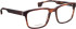 Entourage of 7 Wade glasses in Brown/Brown