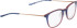 Bellinger Less1931 glasses in Blue/Red