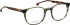 Entourage of 7 Hank-Skxl glasses in Green/Brown
