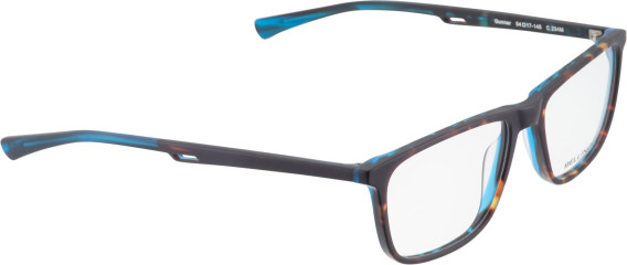 Bellinger Gunner glasses in Brown/Brown