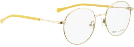 Bellinger Bold-4 glasses in Gold/Gold