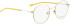 Bellinger Bold-4 glasses in Gold/Gold