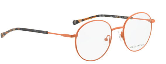Bellinger Bold-4 glasses in Orange/Orange
