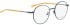 Bellinger Bold-4 glasses in Blue/Blue
