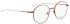 Bellinger Bold-4 glasses in Red/Red