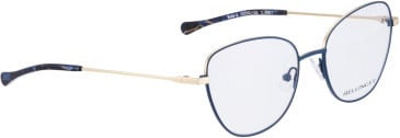 Bellinger Bold-6 glasses in Blue/Gold