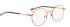 Bellinger Bold-4 glasses in Orange/Orange