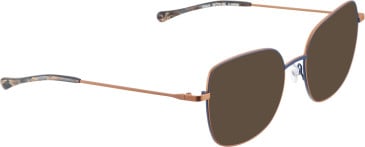Bellinger Bold-9 glasses in Blue/Copper
