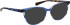 Bellinger Legacy-3144 glasses in Blue/Blue