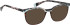 Bellinger Less-Ace-2115 glasses in Brown/Brown