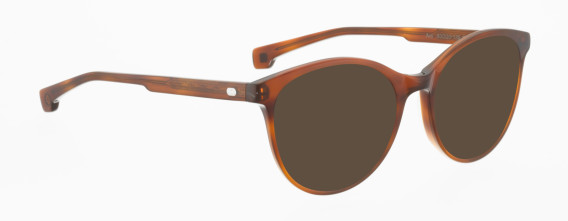 Entourage of 7 Avy glasses in Brown