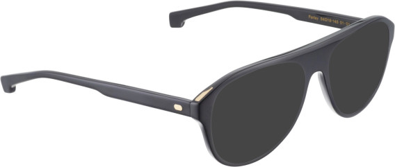 Entourage of 7 Farley glasses in Black/Black