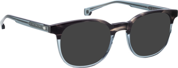 Entourage of 7 Hank-L glasses in Grey/Grey