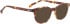 Entourage of 7 Hank-Xs glasses in Brown/Brown
