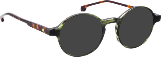 Entourage of 7 Riley glasses in Green/Green