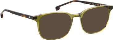 Entourage of 7 Royce glasses in Green/Brown