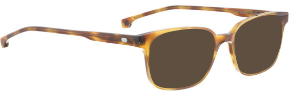 Entourage of 7 Terry glasses in Brown/Brown