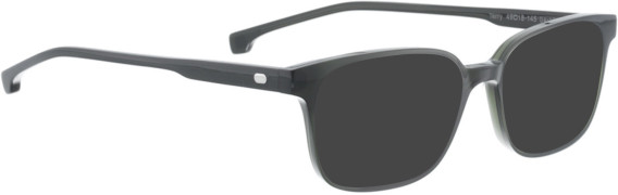 Entourage of 7 Terry glasses in Green/Green