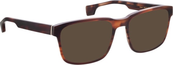 Entourage of 7 Wade glasses in Brown/Brown