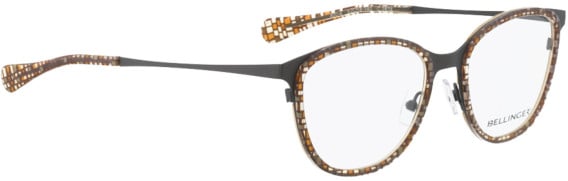 Bellinger Arc-4 glasses in Brown
