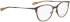 Bellinger Arc-4 glasses in Brown