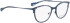 Bellinger Arc-4 glasses in Blue
