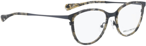 Bellinger Arc-4 glasses in Grey/Grey
