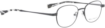 Bellinger Bold-2 glasses in Black/Black
