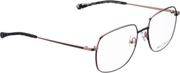 Bellinger Bold-X2 glasses in Black/Rose Gold